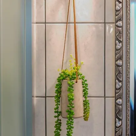 Studio Eufemia Apartment *